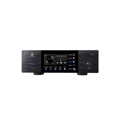 TY-i60 Digital Music Player