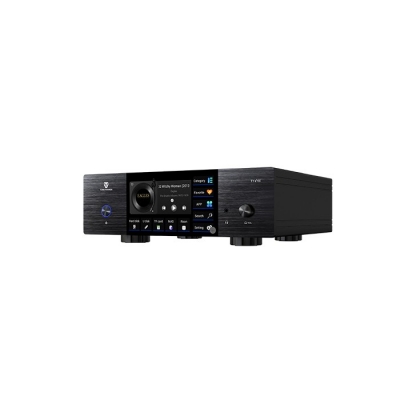 TY-i60 Digital Music Player